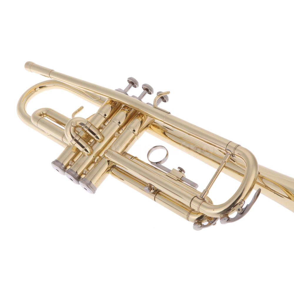  Beginner Trumpet Flat Brass + Mouthpiece Gloves + Case Silver / Gold